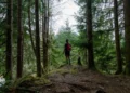 Wędrówki i trekking