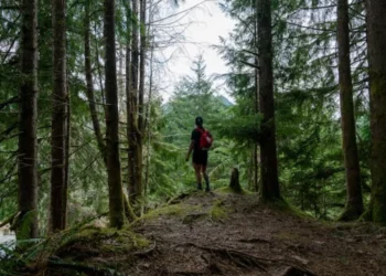 Wędrówki i trekking