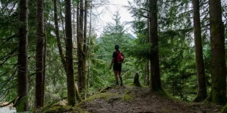 Wędrówki i trekking